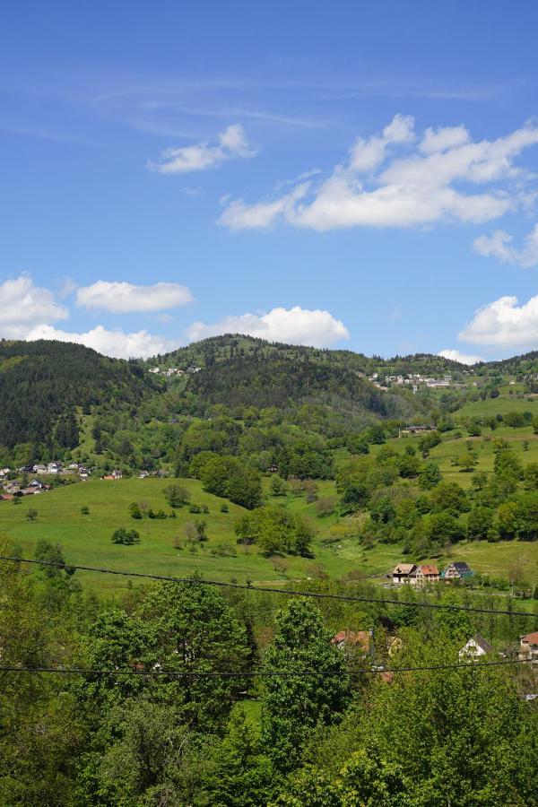 Chalet Individuel Avec Spa O Coeur De La Vallee Villa Munster  Eksteriør billede